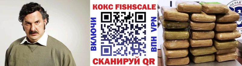 Кокаин Эквадор Жуков