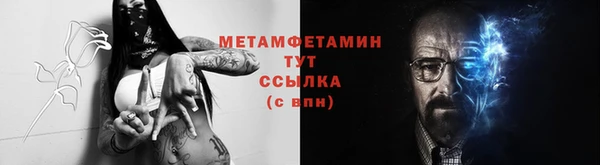 прущие грибы Вязники