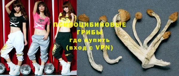 прущие грибы Вязники