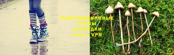 твердый Верхний Тагил